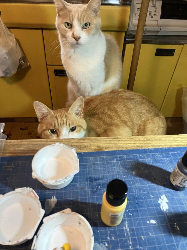 最後まで、ご覧いただきありがとうございます😊