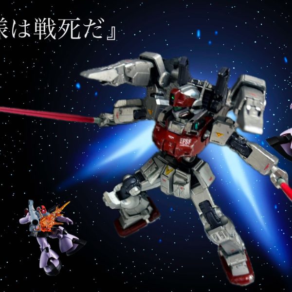 ジムトレーナーD型