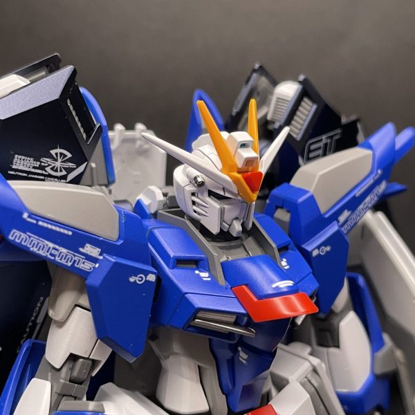 ライジングフリーダム