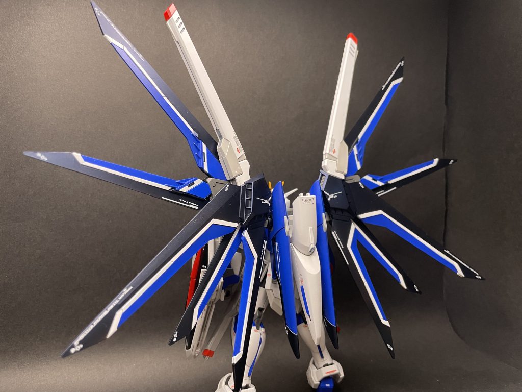 羽を広げて…。苦労して貼ったデカールが映えます☺️