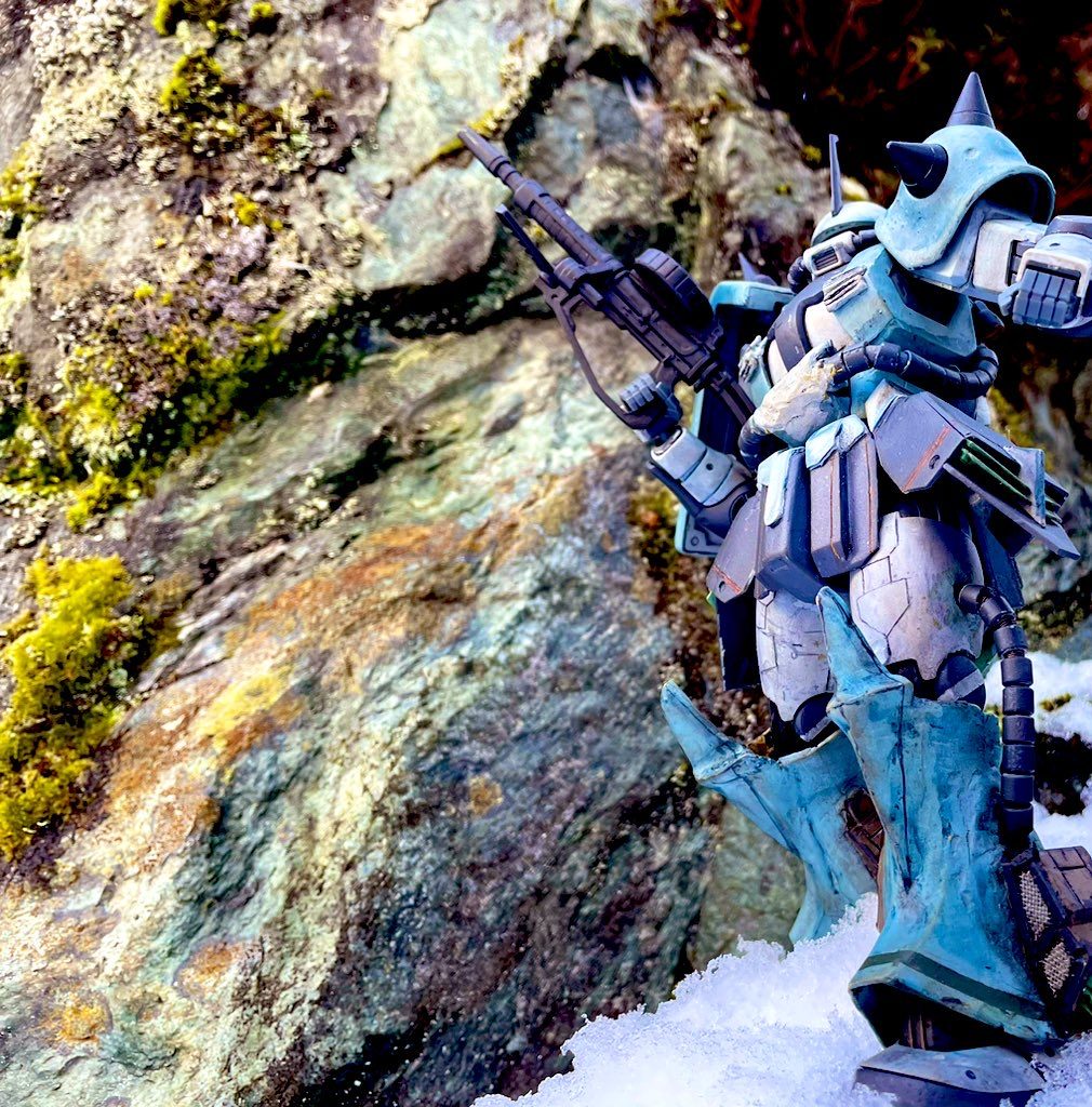 庭で撮った写真です。