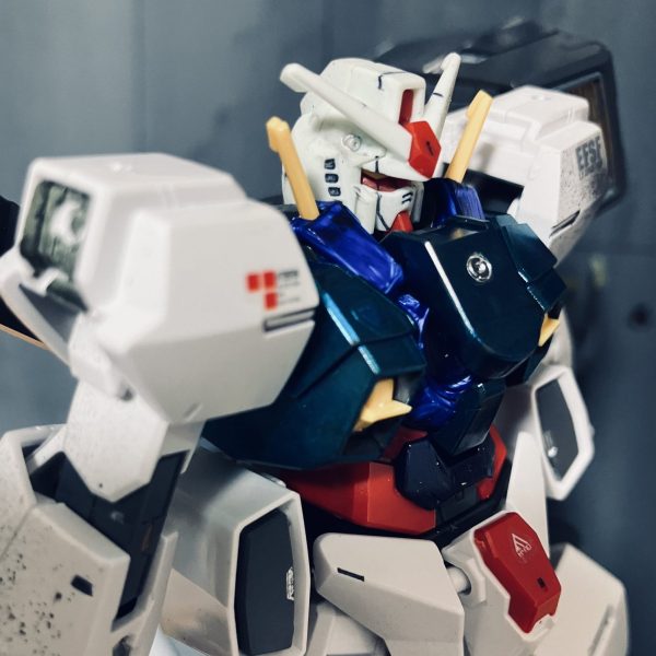 最終決戦ガンダムーCHICKENー