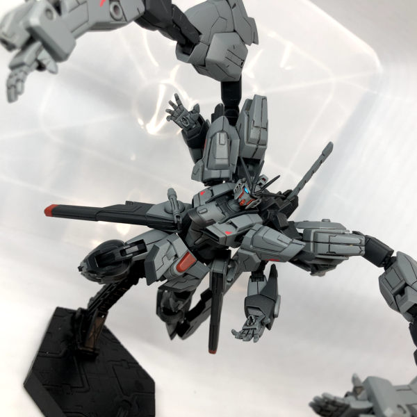 ジュデッカフリーダム