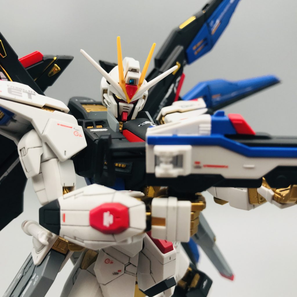 RGストライクフリーダム　全塗装–4枚目/制作者：zima5250