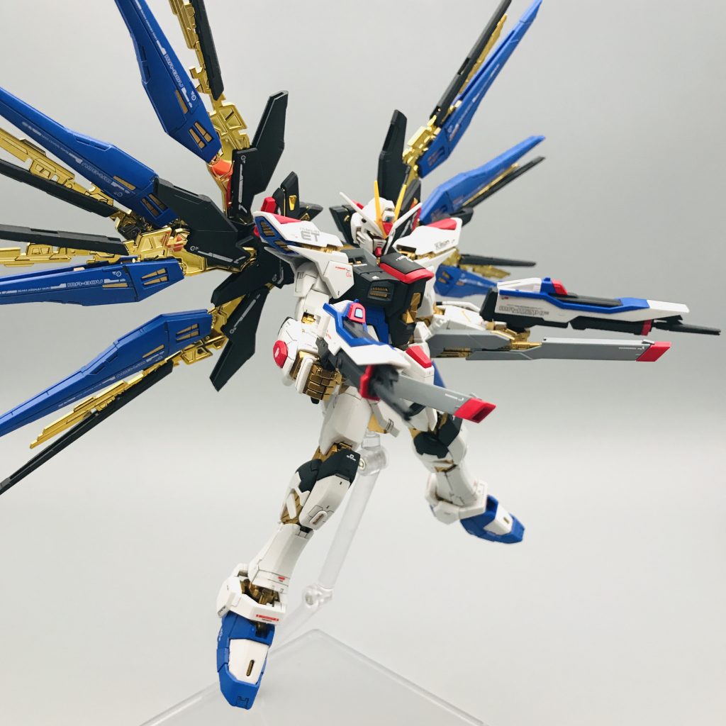 RGストライクフリーダム　全塗装–9枚目/制作者：zima5250