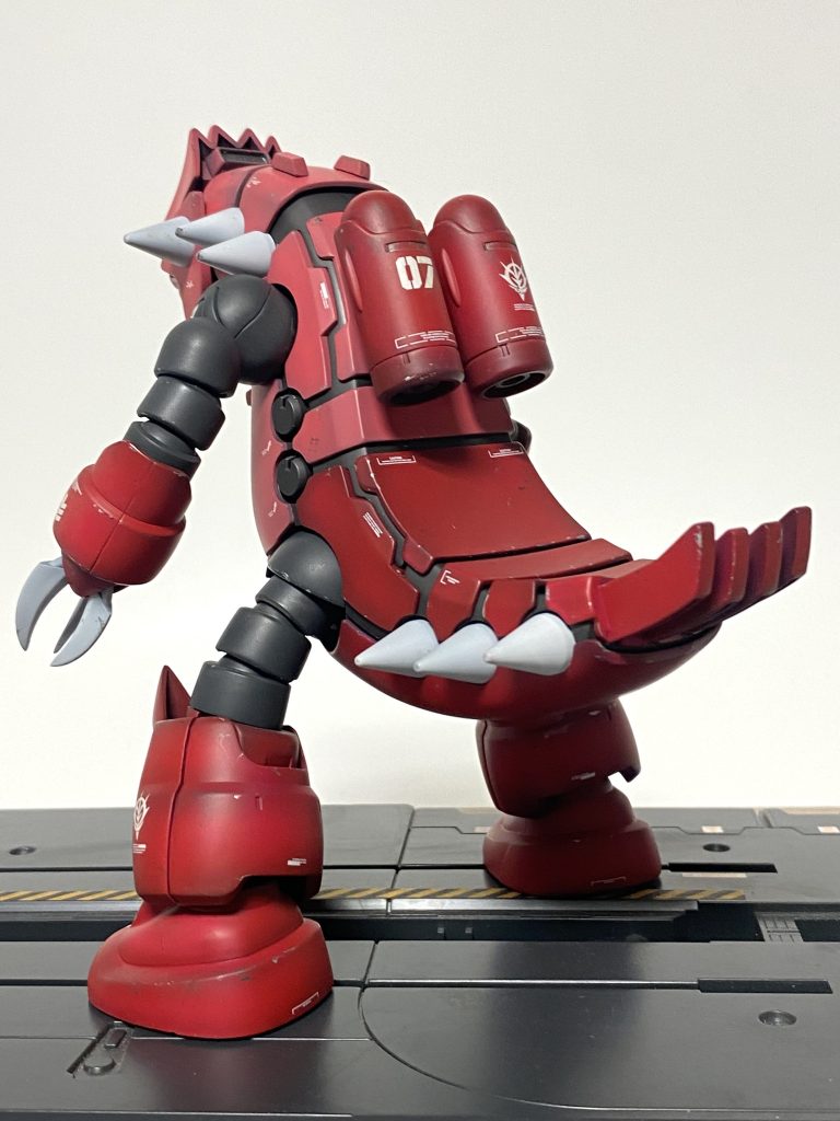 背面から。水中では尻尾?も真っ直ぐに伸びる…ハズ。