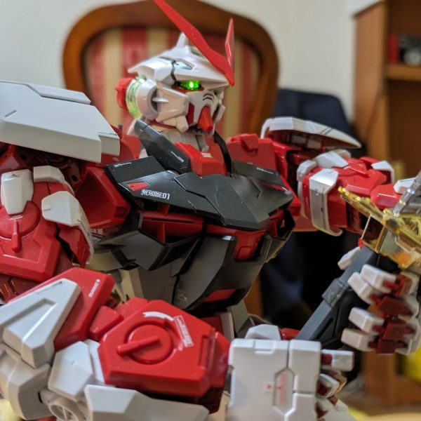 RED FRAME  1/60PG