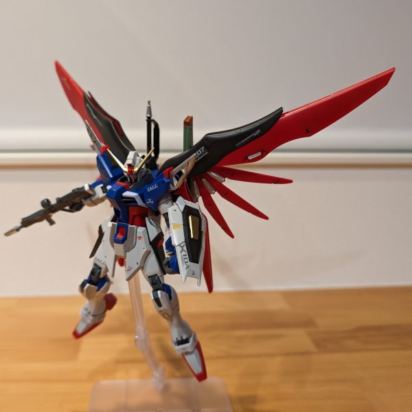 HGCEデスティニー