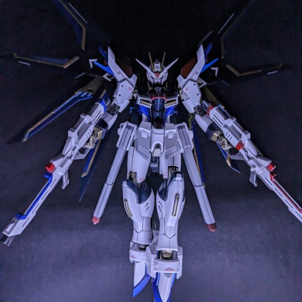 ライジングストライクフリーダムガンダム