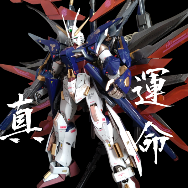 トゥルーデスティニー