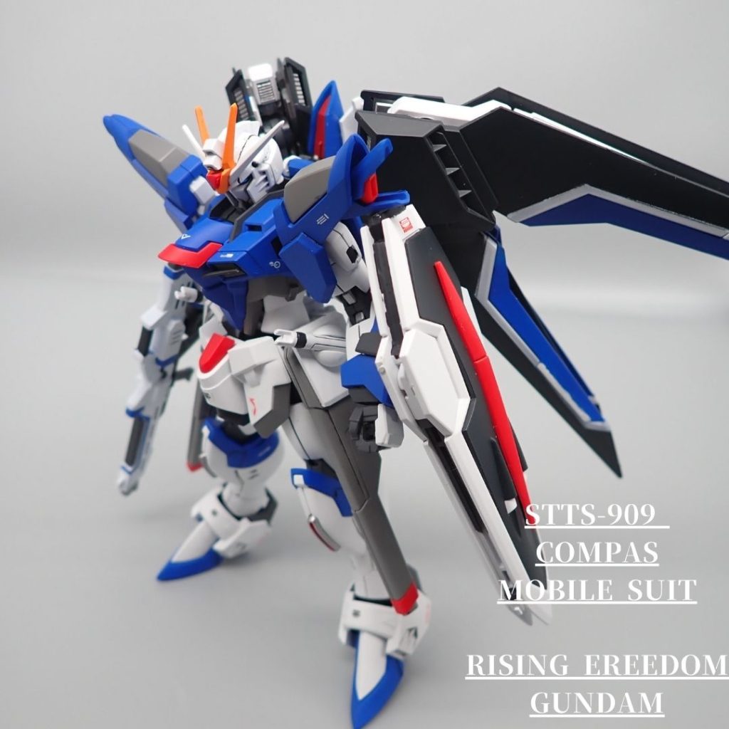 ライジングフリーダム　全塗装–2枚目/制作者：アンジェロのプラモデル工房
