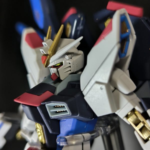 HGCE　ストライクフリーダムガンダム 頭部改修＆部分塗装