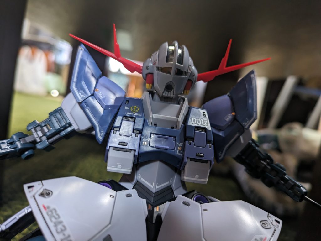 顔をアップにすると迫力マシマシですね～