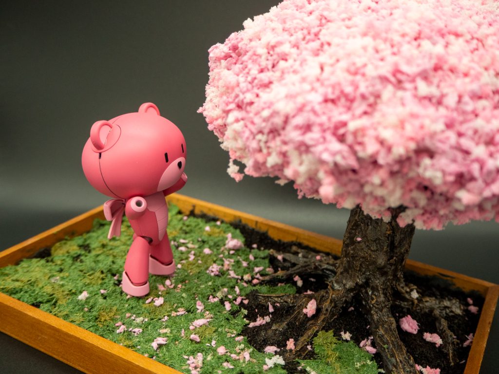 大きな木にはしゃいでいます。