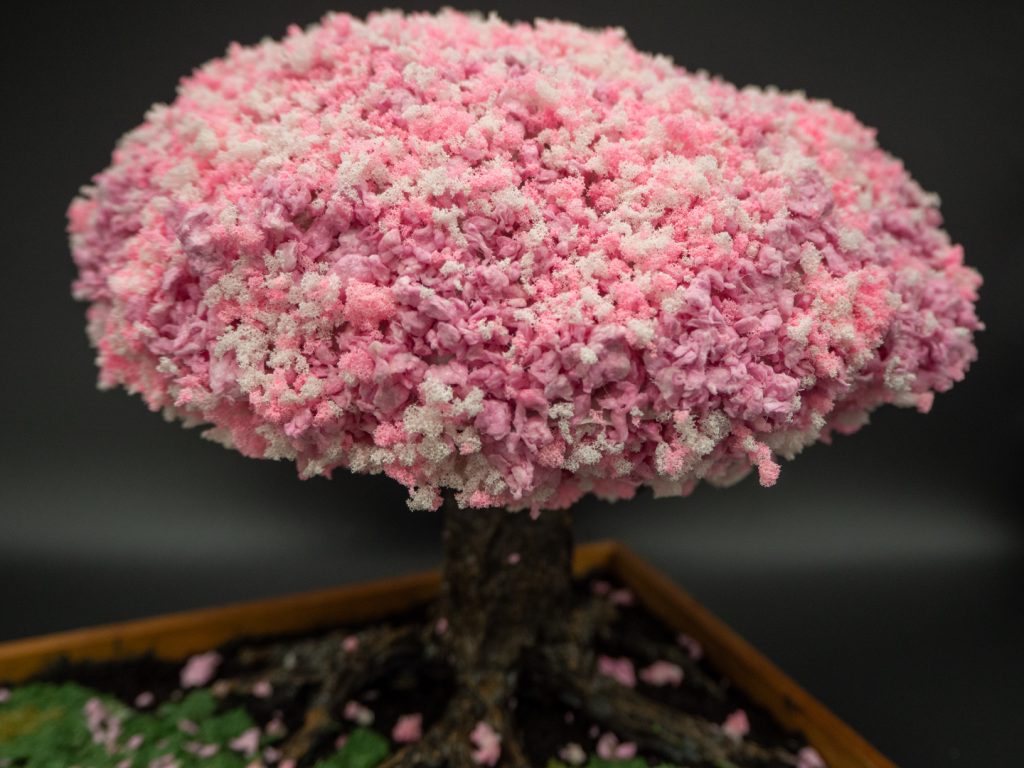 櫻の花は、木に丸めた紙（Amazonの緩衝材）で大まかに形を作ります。ピンクと白の画用紙をフードミキサーで粉砕して全体にまぶします。さらにその上から、薄いピンクと濃いピンクのスポンジをまたフードミキサーで粉砕したものをまぶします。こちらも素材と色で表情が付いて、イイ感じになりますね。