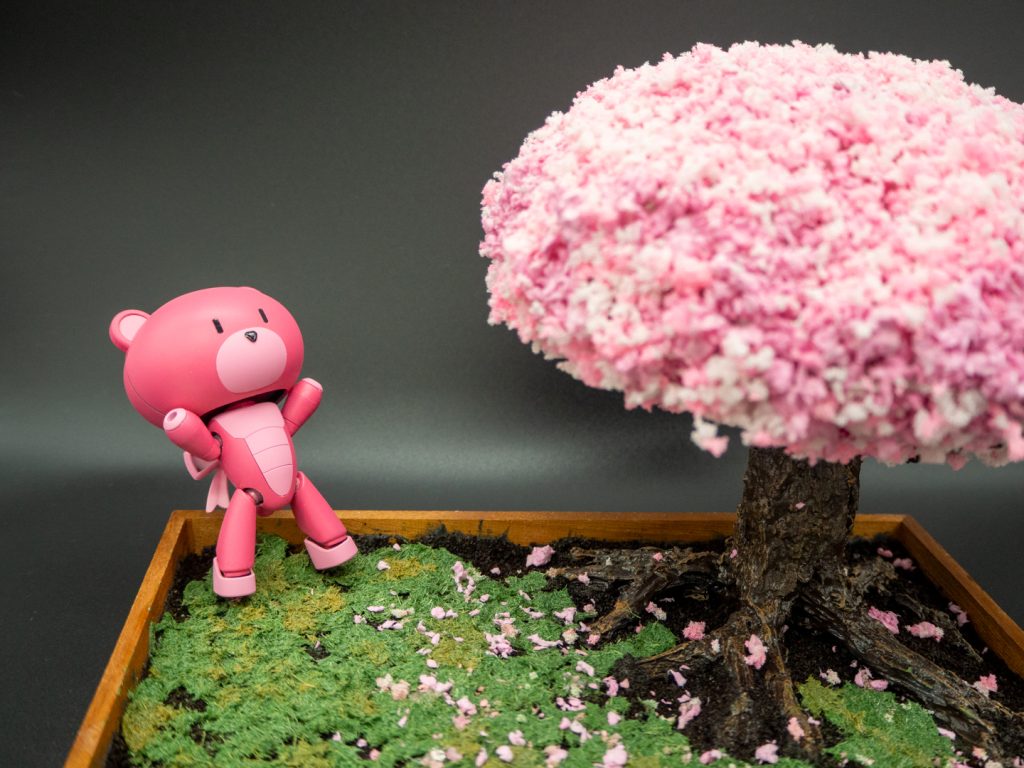 櫻の木を発見！