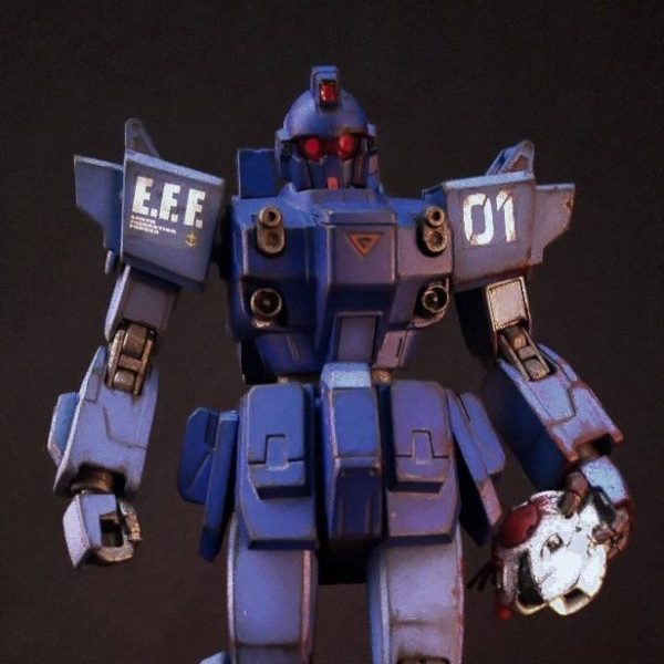 ブルーディスティニー&ジムコマンド