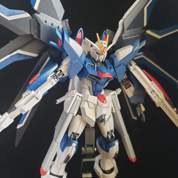 ライジングフリーダム