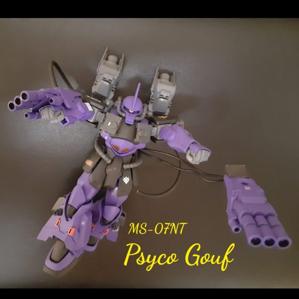 サイコ・グフ（サイコミュ搭載型高機動グフ）