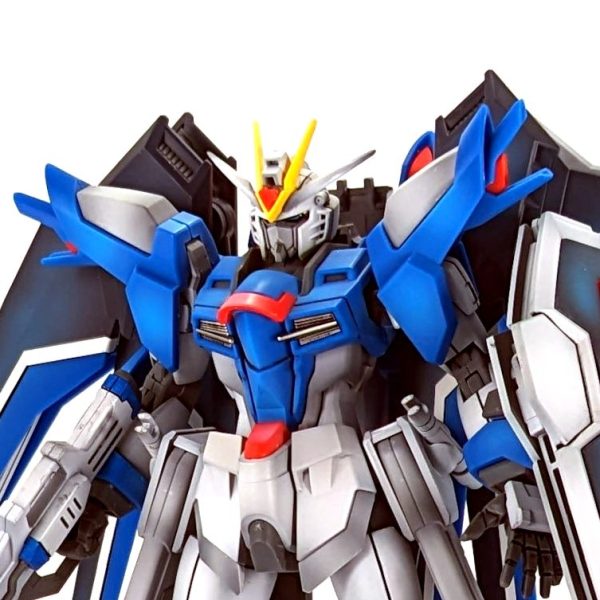 HGCEライジングフリーダム