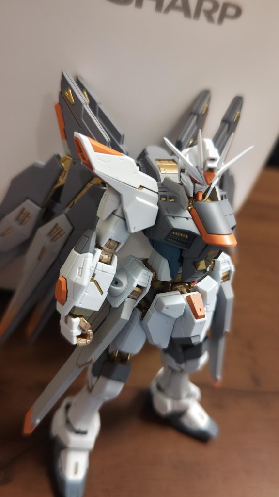 RG ストライクフリーダムガンダム　全塗装–9枚目/制作者：かつらく