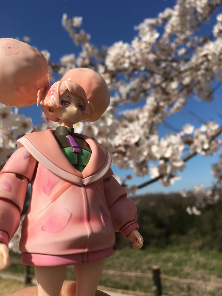 …で、ですね?桜の季節に合わせたってぇコトはデスね?…その、まぁ…やりますよねぇ…映えるスポットにお出掛けしてムフフな野外撮影。ってヤツですよ。…まぁ流石に人いっぱい居たので計3回山に登って、夜に行った時は周りから獣の声したから即逃げ帰ったんだけどネ(馬鹿か)。