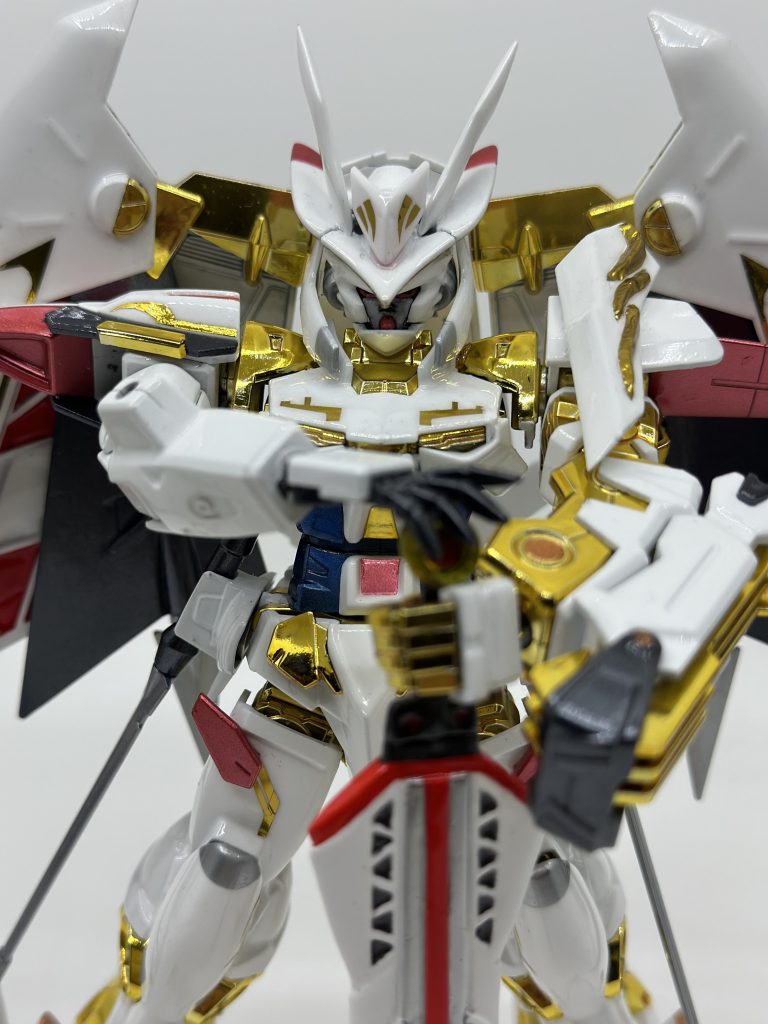 本家のメタルビルドを見た時にカッケーと思い、いつかはアマツで作りたいなーと思って、3年ほどパチ組して放置してました。