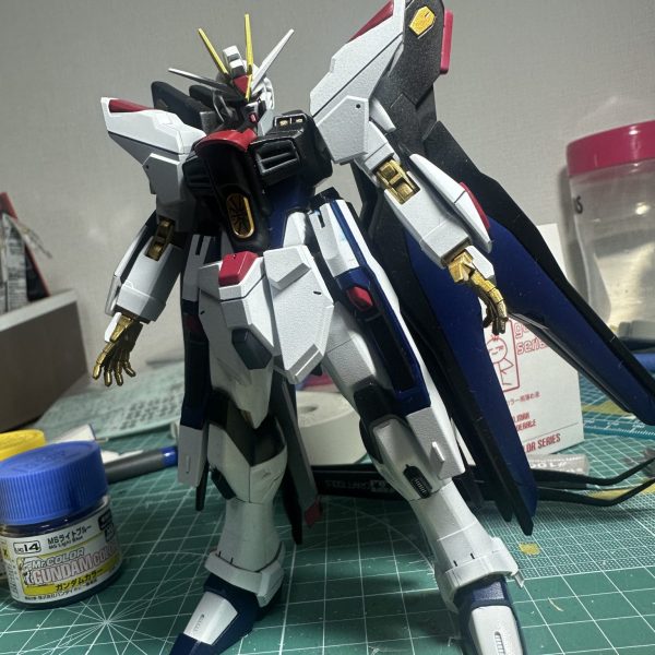 HG ストライクフリーダム