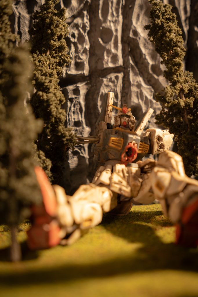 夕方をイメージしてライティングしています。