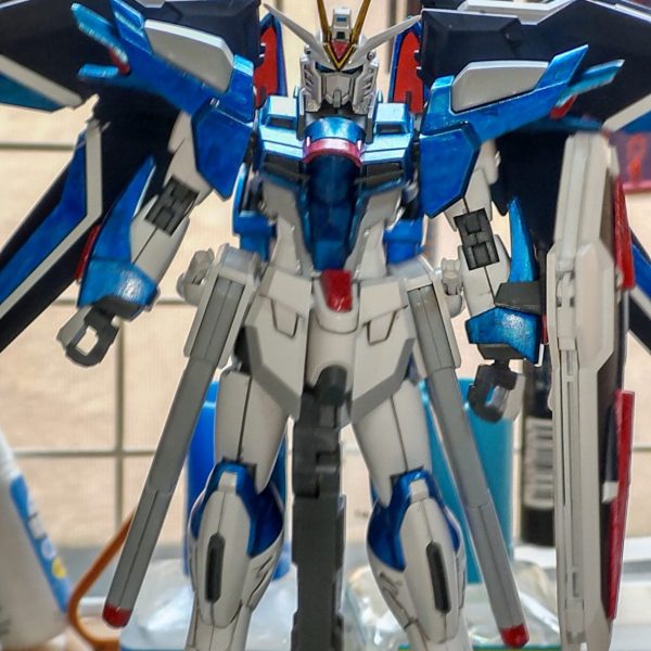 ライジングフリーダム