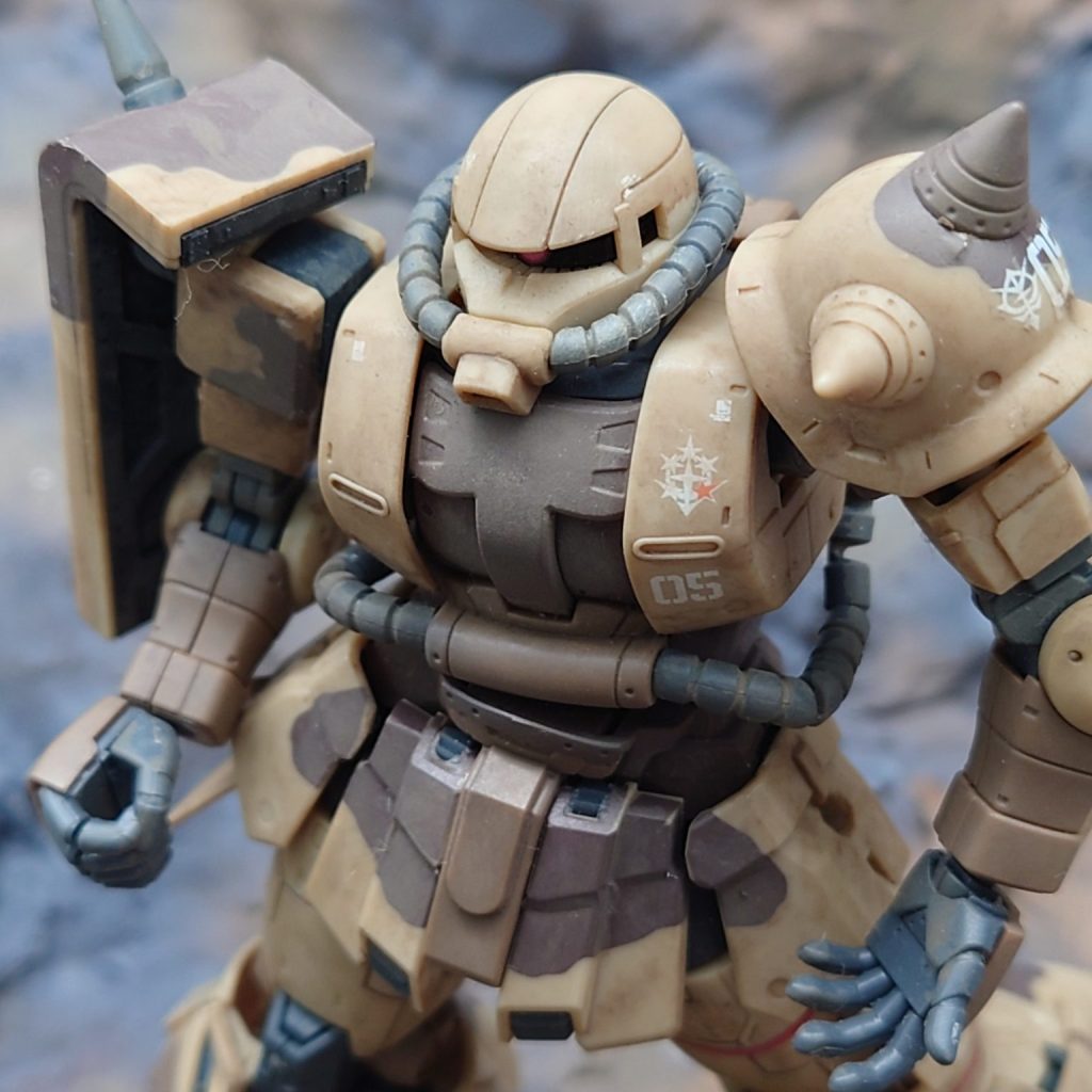 DSC_0623-aspect-ratio-750-750-