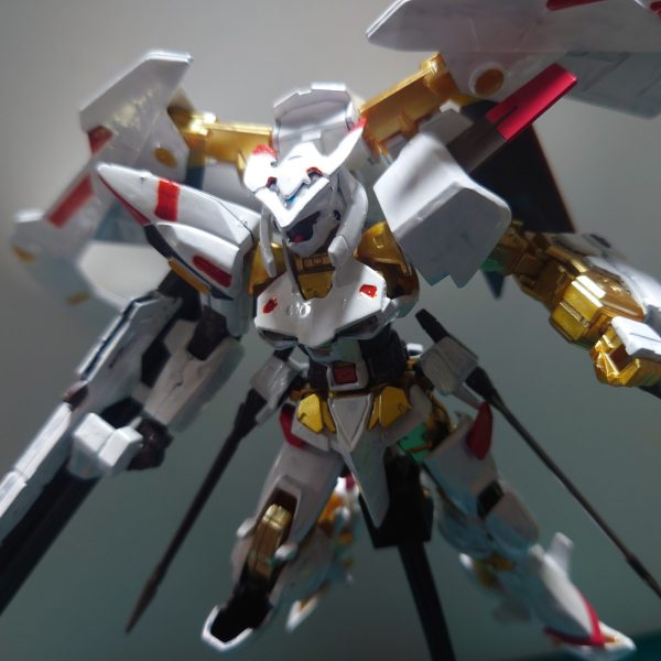 HG SEED　ガンダムアストレイゴールドフレーム天ハナ