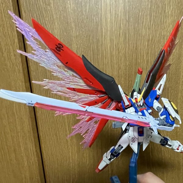 気がついたらデスティニーのポージング撮ってる