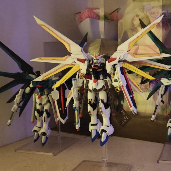 ライジングフリーダムたち