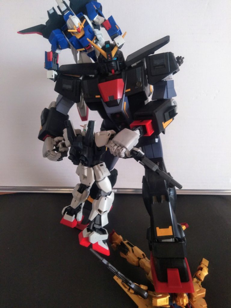 体幹がシッカリしてるので、コンナ状態だって倒れません😤