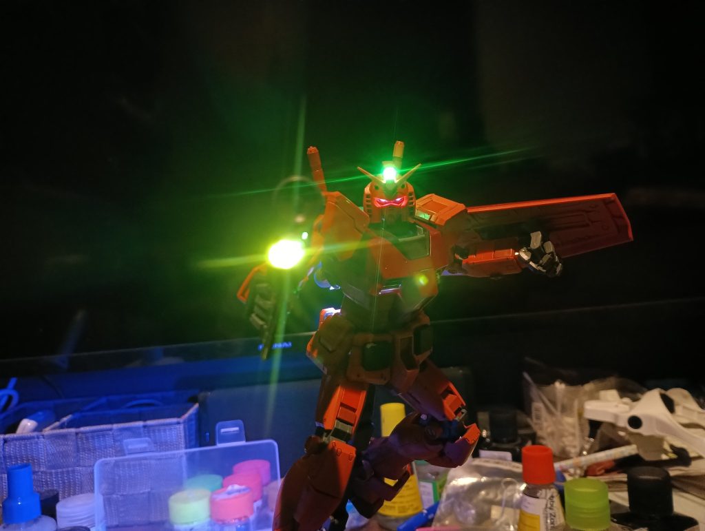 少し上から撮ると目つきが悪く見えます😂