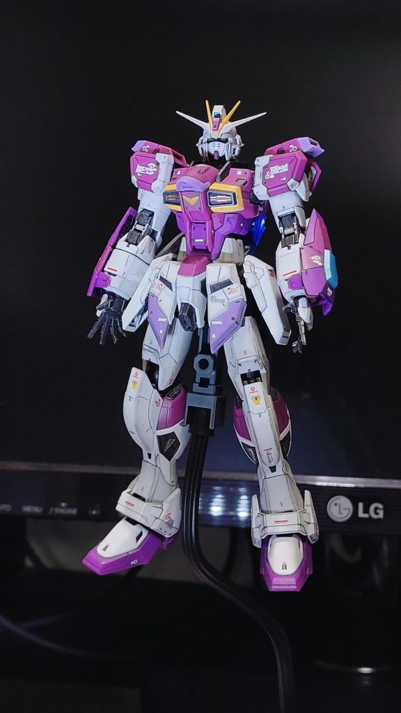 シルエット装着前、これはこれでアリです。