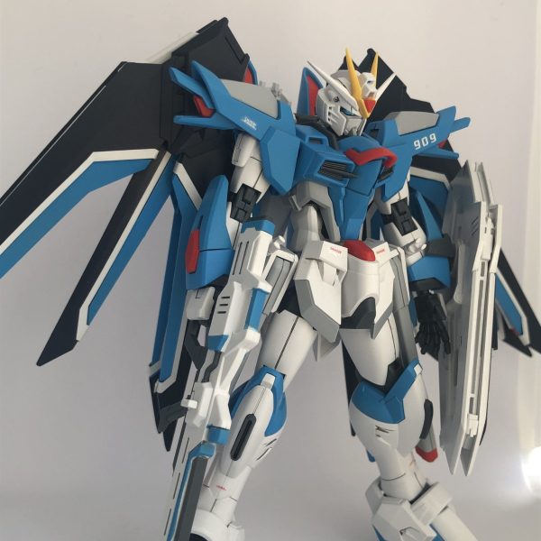 HGライジングフリーダムガンダム（部分塗装）