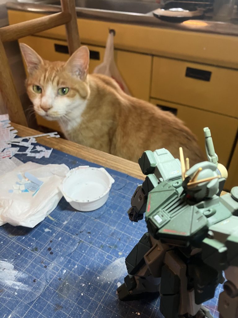 最後まで、ご覧いただきありがとうございましたm(_ _)m