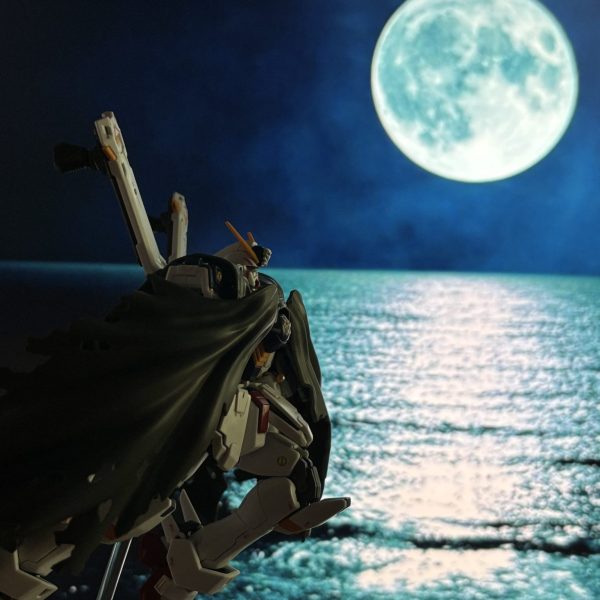 23機目　RGクロスボーンガンダムx1