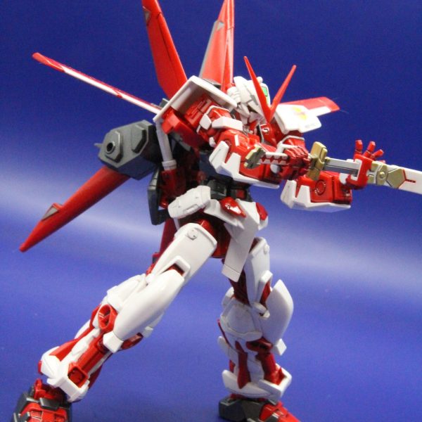 HGトレイレッドフレーム