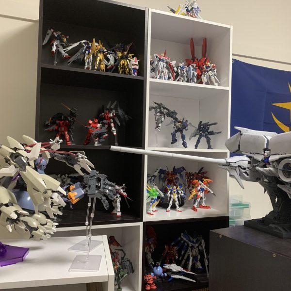 カオス・ジオング 対 デンドロビウム