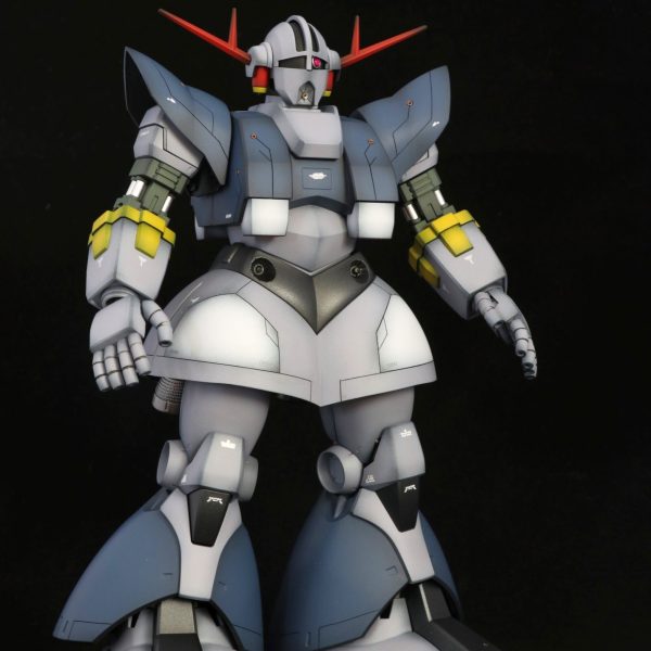 パーフェクトジオング ・ジオング　コンパチ仕様♪