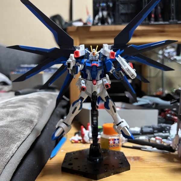 ライジングフリーダムガンダム