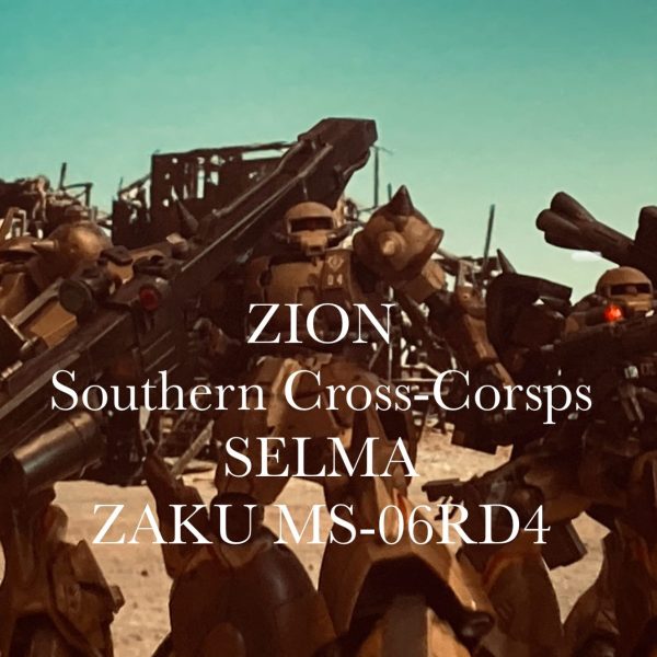 MS06-RD-4 高機動型ザク試験機　セルマ機