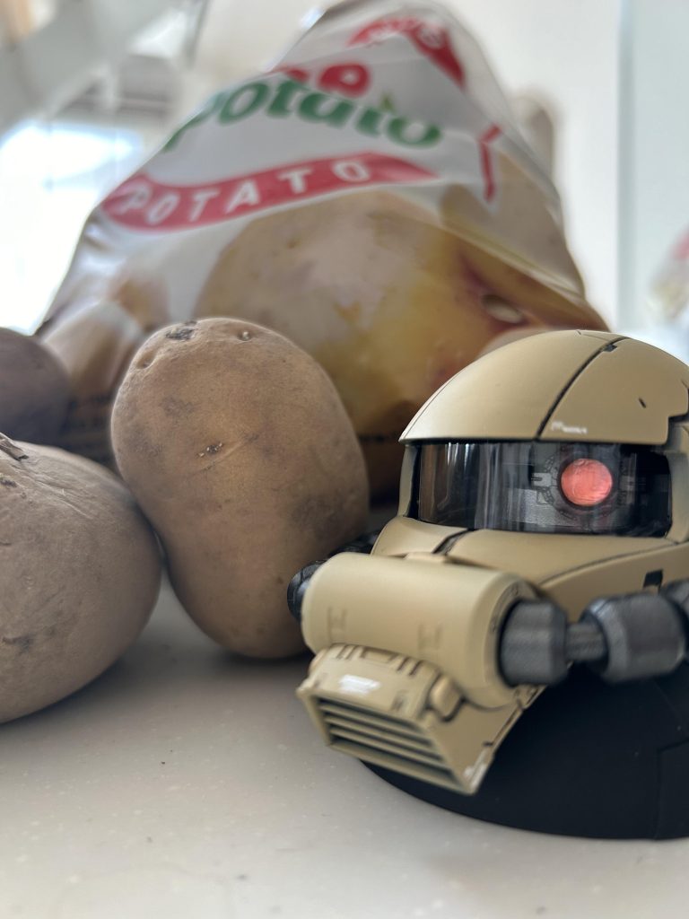 息子がザクヘッドのガチャガチャを2回やったら、黒い三連星かぶり…一つ買取させてもらったので、デザートザク、サザンクロス隊風に塗装なぜか途中から開閉のヒンジが縮んだのか閉まらなくなってしまった500円で楽しませてもらいました!