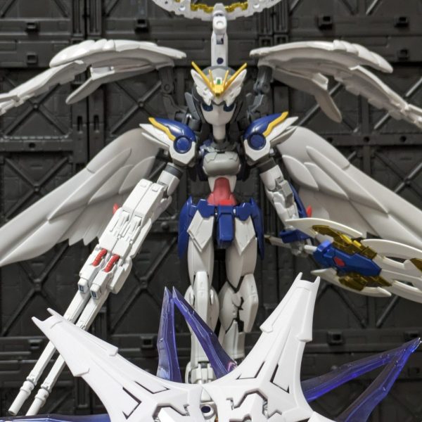 ウィング王道チェルC