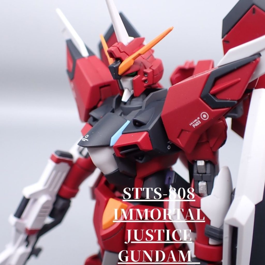 イモータルジャスティス–2枚目/制作者：アンジェロのプラモデル工房