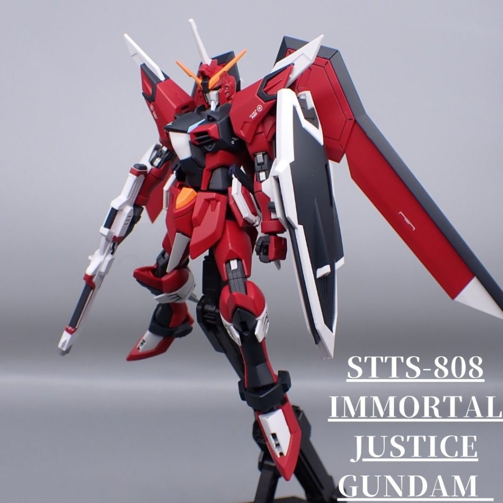 イモータルジャスティス–3枚目/制作者：アンジェロのプラモデル工房