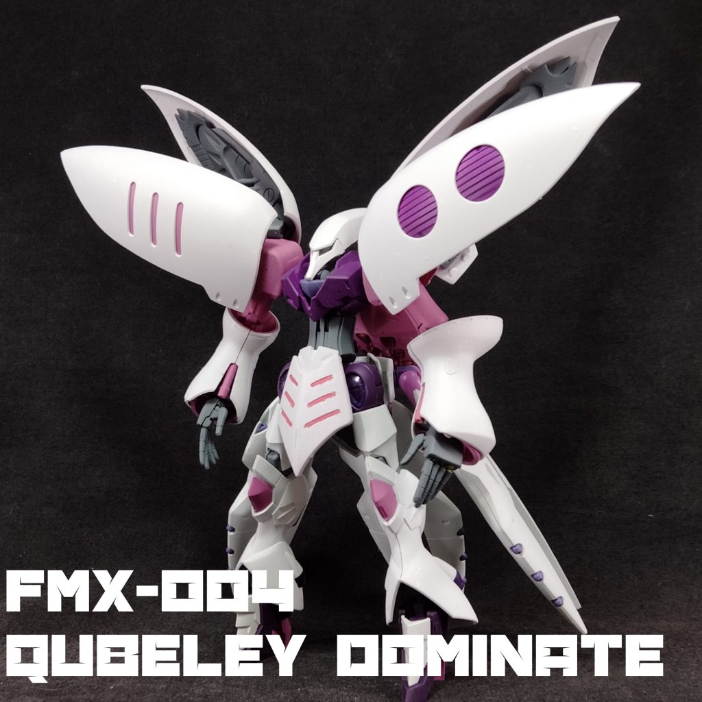 FMX-004 QUBELEY DOMINATE